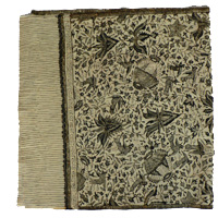 ��`���o�e�B�b�N5203