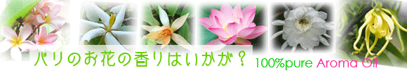 �o���̂��ԁA�t�����W�p�j�i�v�������A�j�E�K�[�f�j�A�E�`�����p�J�E���[�^�X�E�i�C�g�N�B�[���E�C�����C�����̍���100���s���A�ȃA���}�I�C��