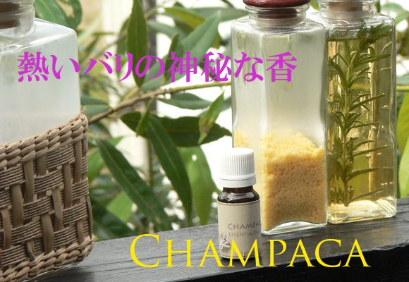 �G�b�Z���V�����I�C���E�`�����p�J�傫���摜