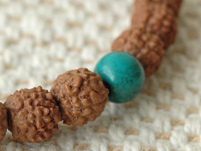 ���h���N�V���E�u���X���b�g6259