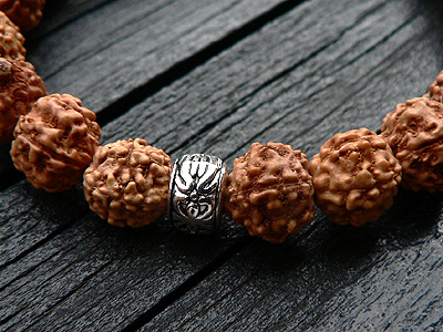 �I���V���o�[�`���[���t���E���h���N�V���ƓV�R�΂̃u���X���b�g6346