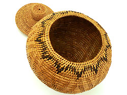 �A�^ �o�X�P�b�g