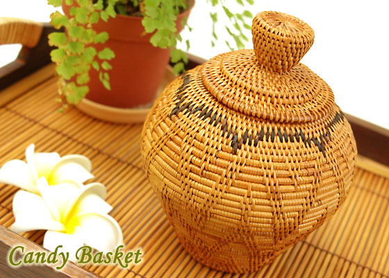 �A�^ �o�X�P�b�g