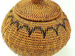 �A�^ �o�X�P�b�g