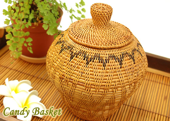 �A�^ �o�X�P�b�g