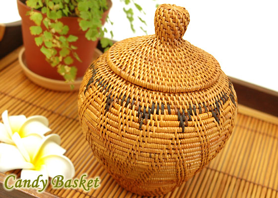 �A�^ �o�X�P�b�g