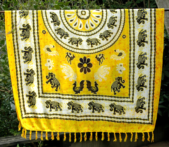 �o�����p���I�E�ہE���F