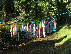 �􂢁A�����A�d�グ