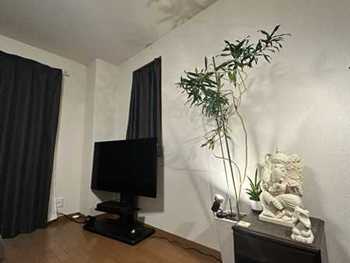 �K�l�[�V����E11210