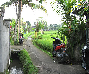 バンガローの前