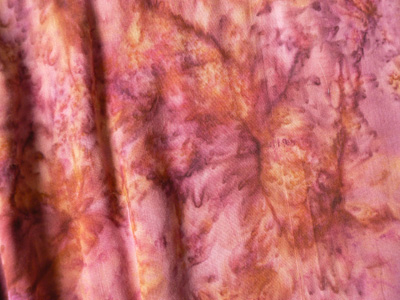 �^�C�_�C�o�e�B�b�N�E���[�����E�|���`���A���A�b�v