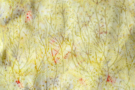 �o�e�B�b�N�}�L�V�����s�[�X���̃A�b�v