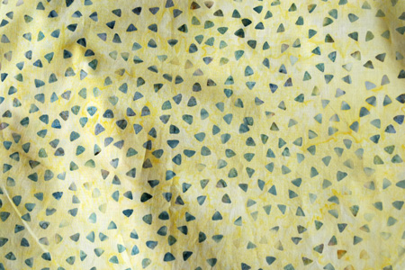 �o�e�B�b�N�}�L�V�����s�[�X���̃A�b�v