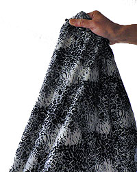 ���[�����̂�����A��������