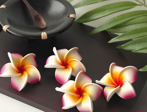 �Ԃ̃t�����W�p�j