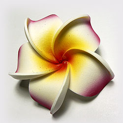 �Ԃ̃t�����W�p�j