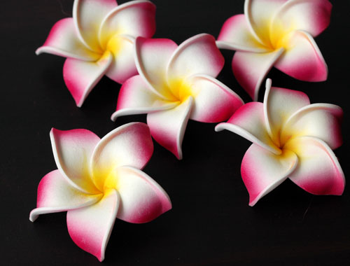 �v�������A�̃X�|���W�t�����[