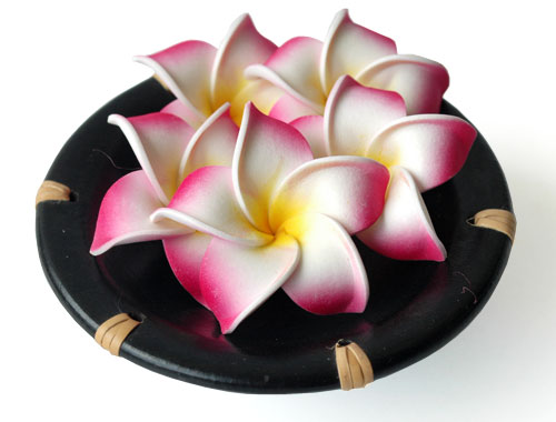 �v�������A�̃X�|���W�t�����[