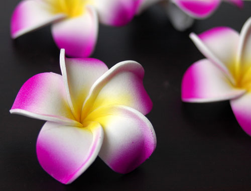 �v�������A�̃X�|���W�t�����[