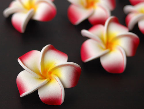 �v�������A�̃X�|���W�t�����[