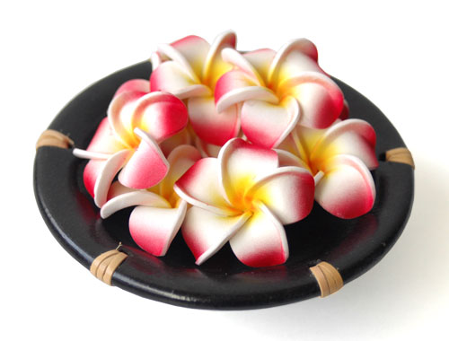 �v�������A�̃X�|���W�t�����[