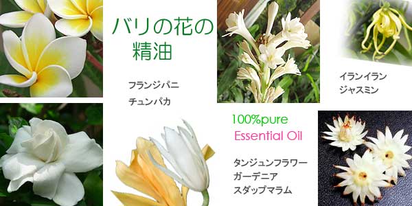 フランジパニ、チュンパカ、ロータス、スダップマラム、イランイラン、ガーデニアなど、南国の花のエッセンシャルオイル　10ml