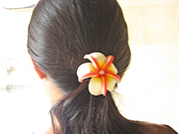 �t�����W�p�j�̔�����