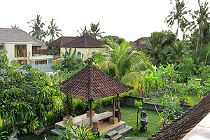 �E�u�h�̃p�L�[���o���K���[