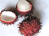 �����u�[�^��