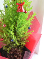 �N���X�}�X�E�c���[