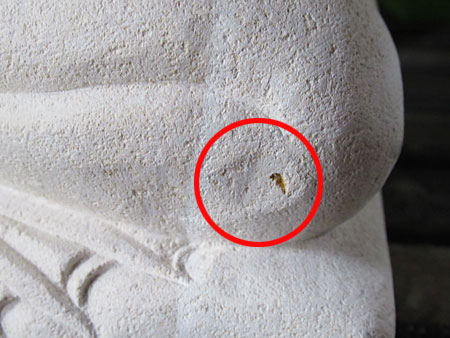 石像カエルお祈り・アウトレット不具合箇所