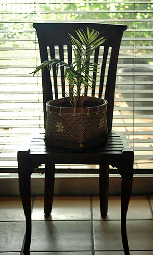 �o���̒|�����L�k�t��